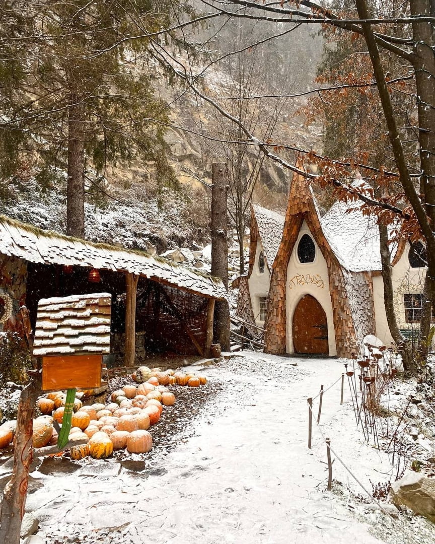 gedzo-park-11-6853084282ec5